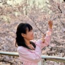 세이문화사