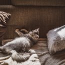 25평 아파트 입주청소 비용과 알뜰하게 준비하는 방법