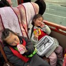 라스트킥 태권도 이미지