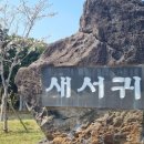 서귀포시중앙도서관 이미지