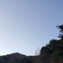 4화: 디카시의 언술, 5행 이내 제한의 의미는 무엇인가- 존재는 번개처럼 스친다 이미지