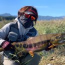 남대천L 이미지