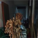 도양읍 비봉로 이미지