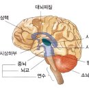동기를 알면 행복이 보인다. 네이버블로그
