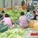 사현네보름영농조합법인 이미지