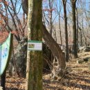 거제자연휴양림 이미지