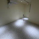 꼬순내유치원 | [헬로우 버디/홍대점] 마포애견유치원 체험등원 후기 I 성향평가를 통해 알아본 아리의 '성격'과 '행동'