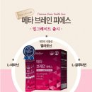 메타브레인