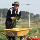 연실농장 이미지