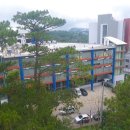파인스