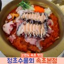 본죽엔비빔밥 속초점 | 속초 맛집 청초수물회 속초본점 해전물회 성게알비빔밥 후기