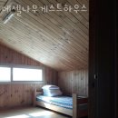 제주도게스트하우스 에셀나무게스트하우스 제주여행 할 때 숙박 가격 위치 후기