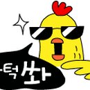더플라이 이미지