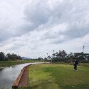 정왕그린스크린골프장 | 골프존카운티 감포 라운드 후기 /바다뷰 예쁜 골프장