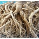 건강이농장 이미지