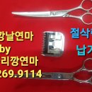 가위숲 네이버블로그