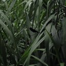 농촌전통테마마을 이미지