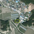 대곡리 암각화 이미지