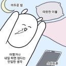 폼드팡 이미지