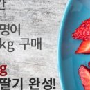 우리들정육마트