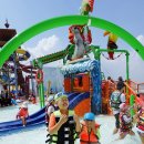 강아지 테마파크 이미지