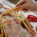 울진대게 이미지