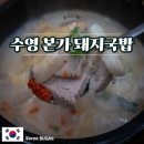 국밥24시 | 수영본가돼지국밥, 부산 서면 24시 국밥 맛집 내돈내산 후기