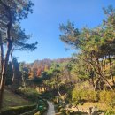 충원고등학교 | [충주 엄정면 우림정원] 산책하기 좋은 가족나들이 연인데이트장소