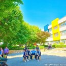 안성중학교 이미지