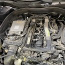 애니카랜드 서구점 이미지