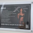 종로 헬스장 어메이징휘트니스 제시 트레이너 PT 1:1 피티 추천 후기