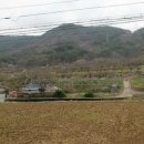 창녕부동산중개 이미지