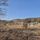 틀모산 도시숲 이미지