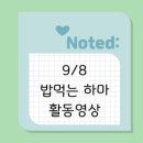밥먹는하마 이미지
