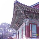 동화사 이미지