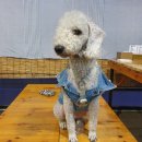 남이섬 더 휴 이미지