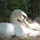 고니농장 이미지