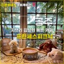 프린세스애견 | 공주 애견동반 - 지브리 감성의 프린세스피크닉 카페 강아지와 다녀온 후기