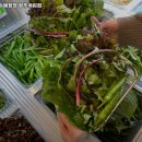 예향정 (광주계림점) | 광주 동구 계림동 고기집 예향정 광주계림점 가격메뉴리뷰주차영업시간