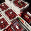 그린마켓 | 충남 천안에서 만나는 제철과일의 신선한 매력, 그린마켓 추천 후기