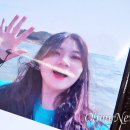 리본여행 오마이뉴스