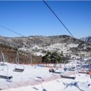 **철 - 금산군 진산면 | **철