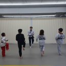 용인대백호태권도 이미지