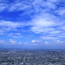 은평 행정사 이미지