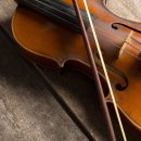 [신규]바이올린 이미지