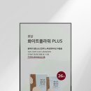 시즌글라스당왕점