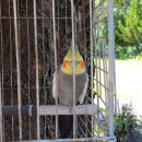 솔잎커피숍 이미지