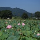 상주 공검지 이미지