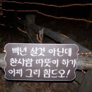 하이디(주) 이미지