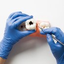 서울든든한치과의원 이미지